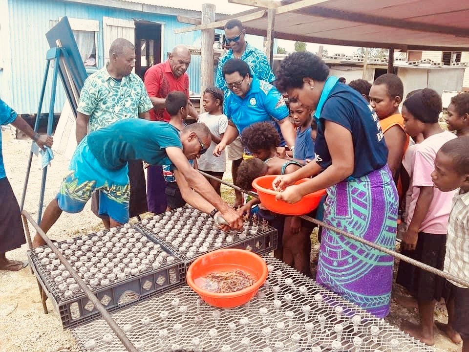 Coral-planting-3.jpg