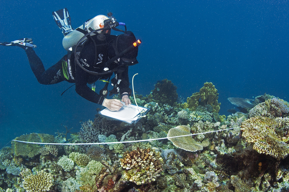 Coral Reef in Fiji being monitored by ADE Project Fiji