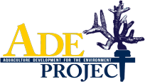 ADE Fiji Logo. Aquaculture Development for the Environment