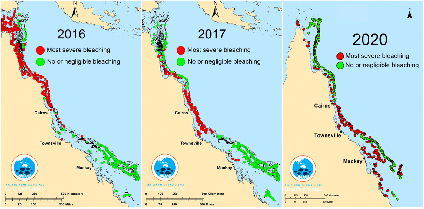 Mass bleaching events on the Great Barrier Reef in 2016, 2017 and 2020