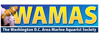 WAMAS-150